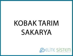 KOBAK TARIM / SAKARYA