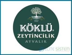 Köklü Zeytincilik – Balıkesir